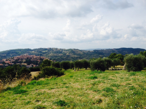 toscana